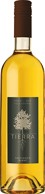 TIERRA SAUVIGNON BLANC 75x12