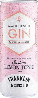 MANCHESTER GIN&LMN TONC 250X12