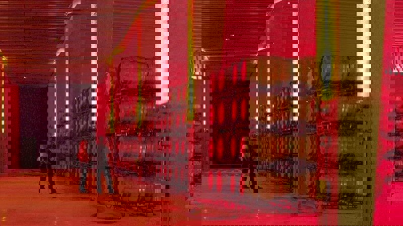 Challenging Convention Vini Wine Magazein.JPG