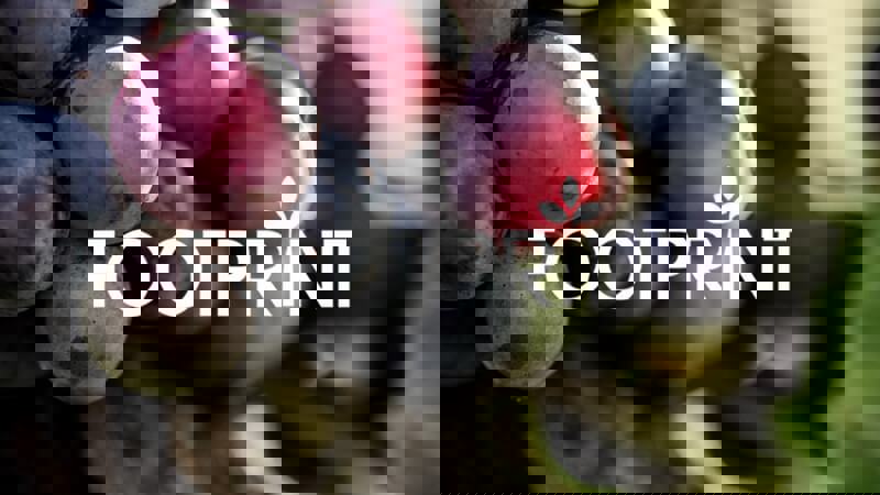 Footprint Drinks Awards.jpg