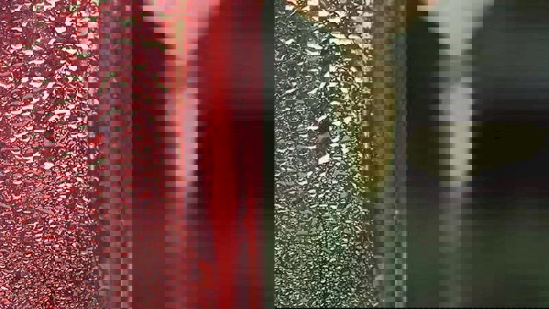 Provence Rose Bottle.JPG