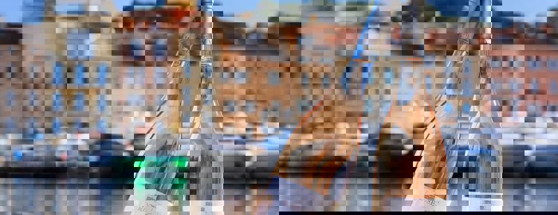 Rose Or Provance.jpg