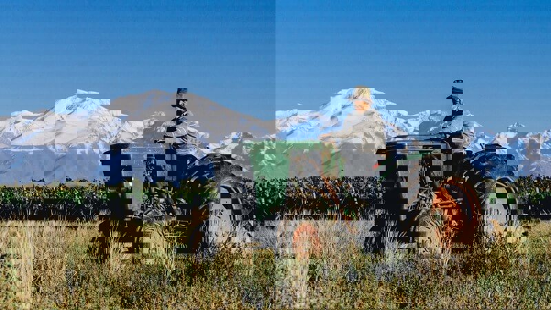 Argentine Winemaking.JPG