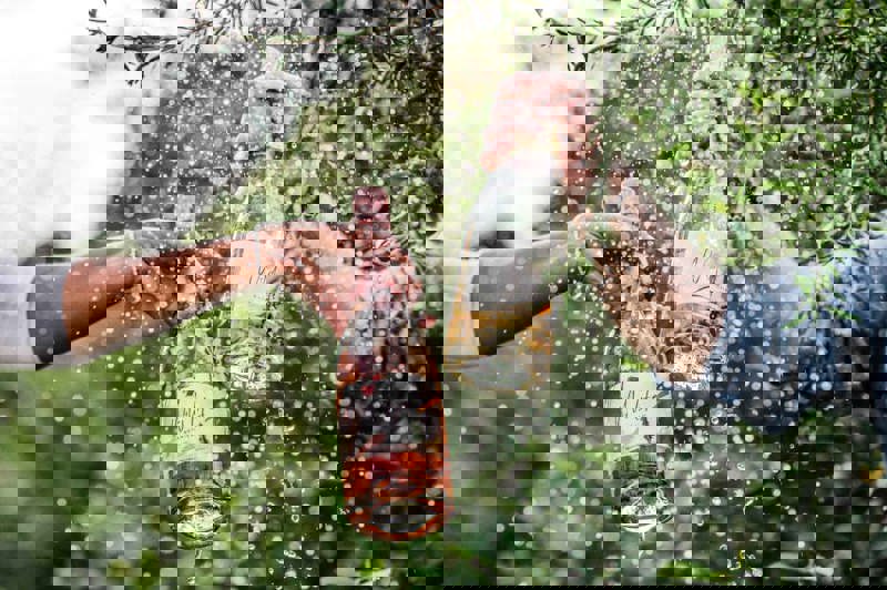 Microsoftteams Image (3).png