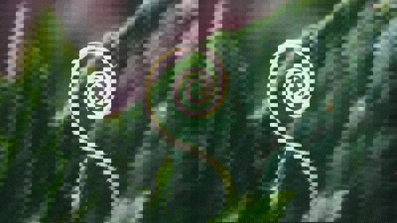 Environment Awards.JPG