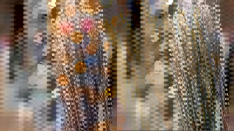 Beer Barley Wylde About Beer.JPG