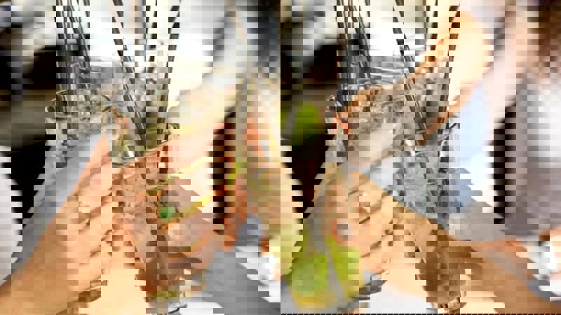 Cocktails Mojito Friends Low Calorie.JPG